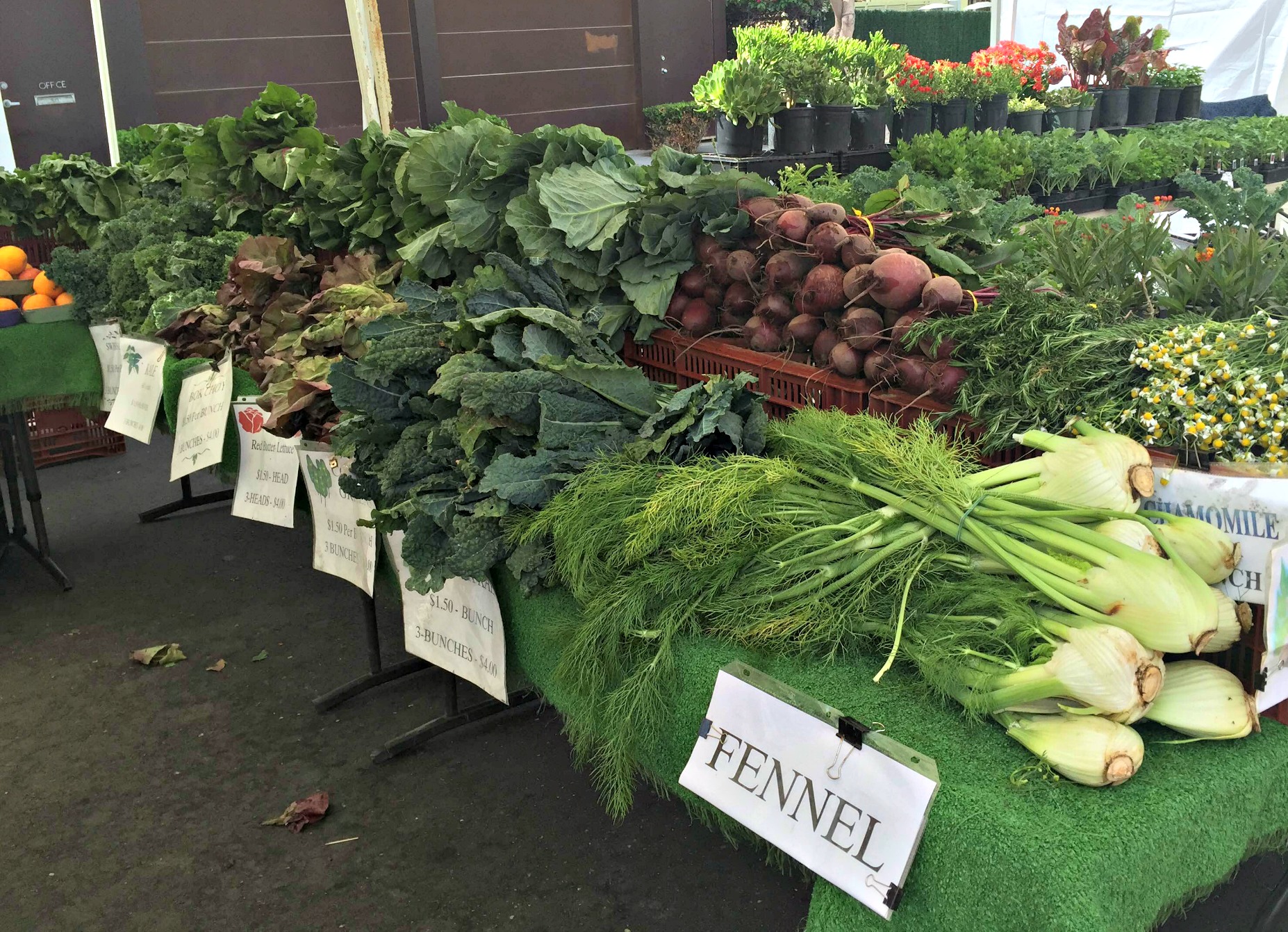 Veggies at the San Diego Farmer's Market, including lots of kale!